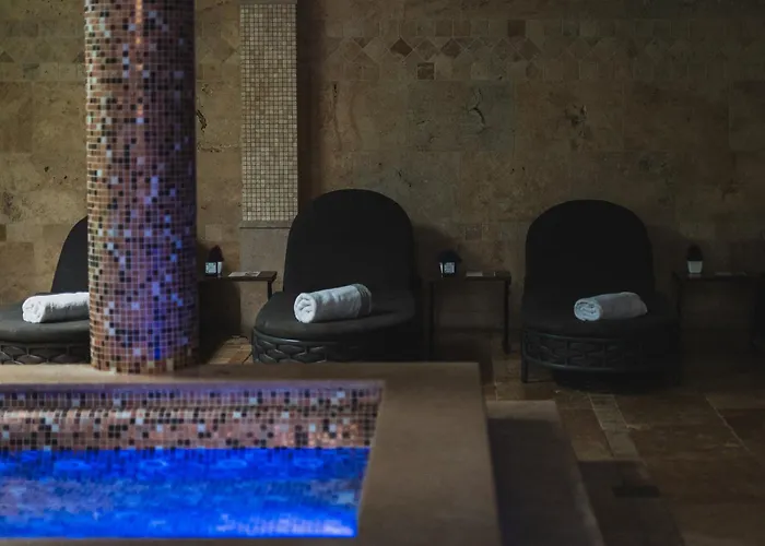 Alexandar Lux Hotell 4*