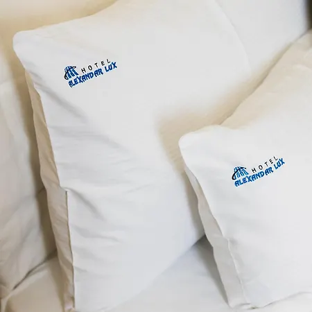 Hotel Alexandar Lux 4*